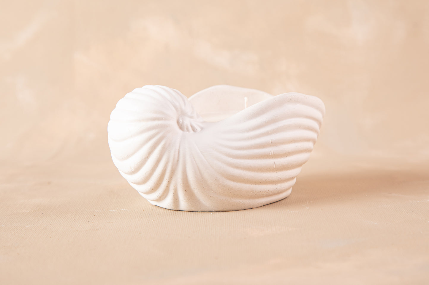 Caracola Marina Pancora II