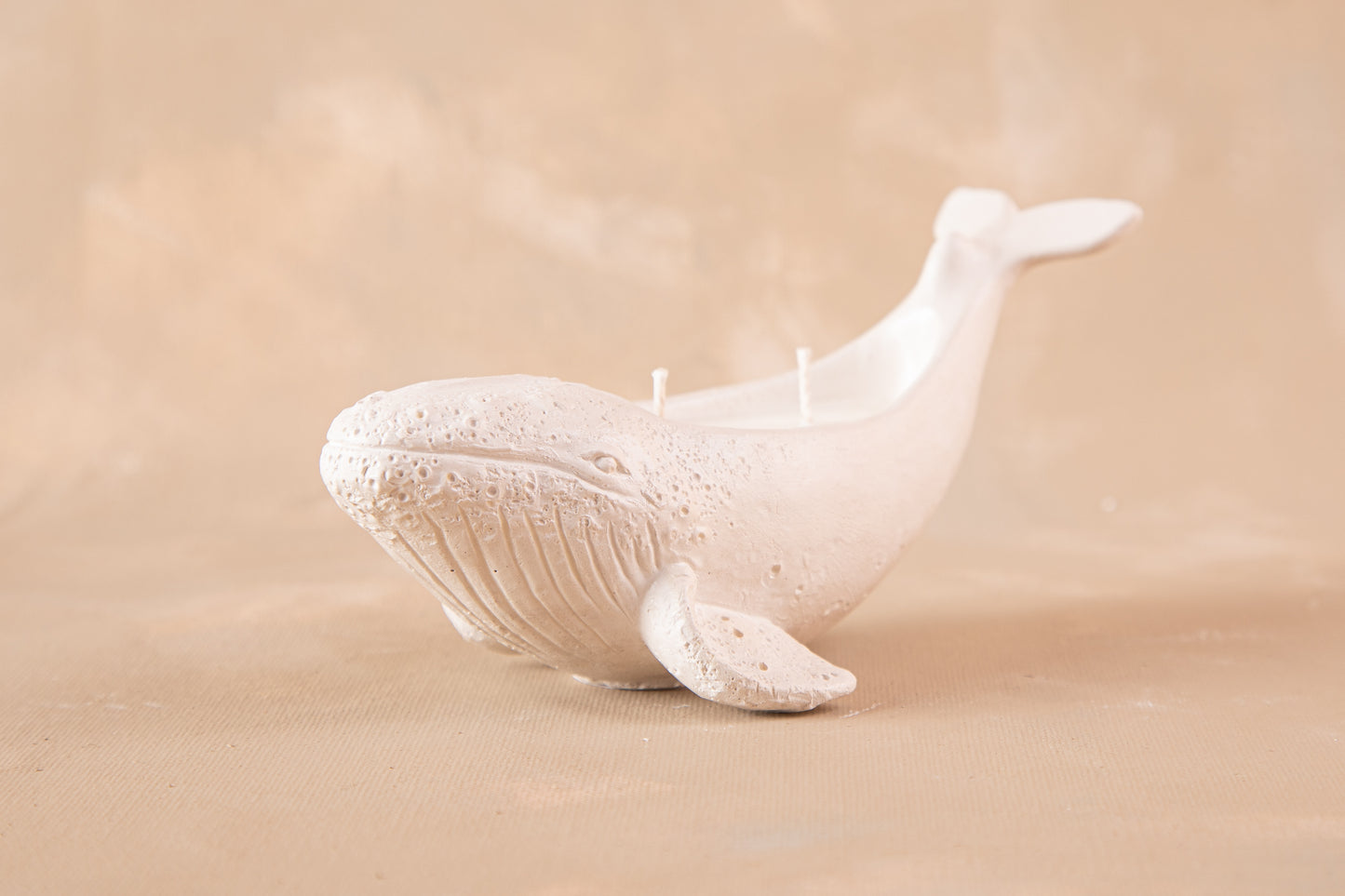 Vela Ballena