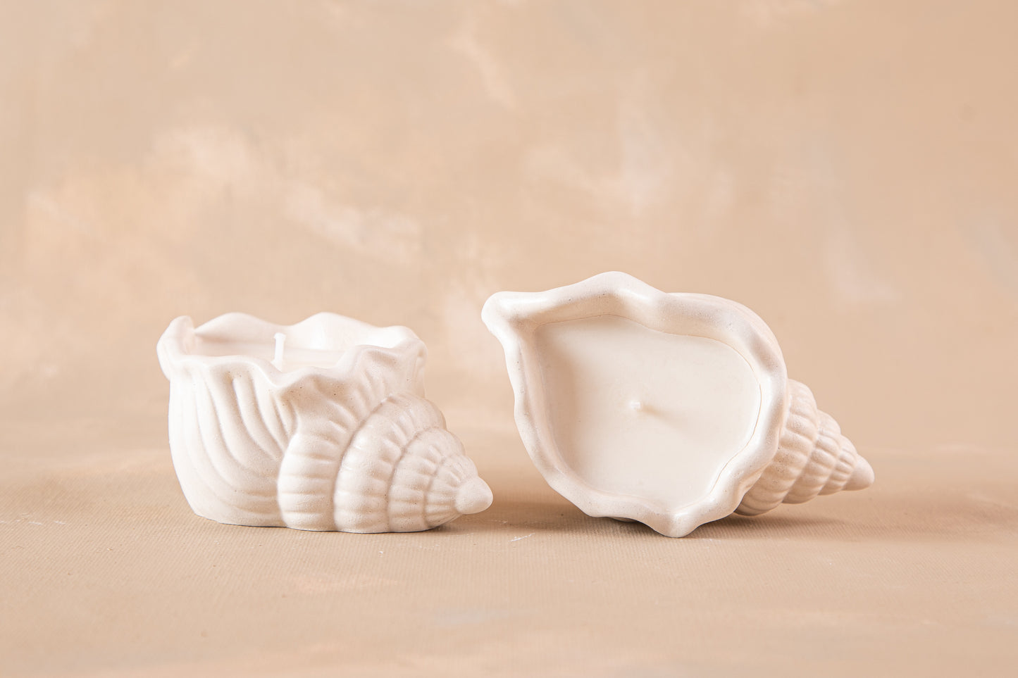 Set de 2 Caracolas