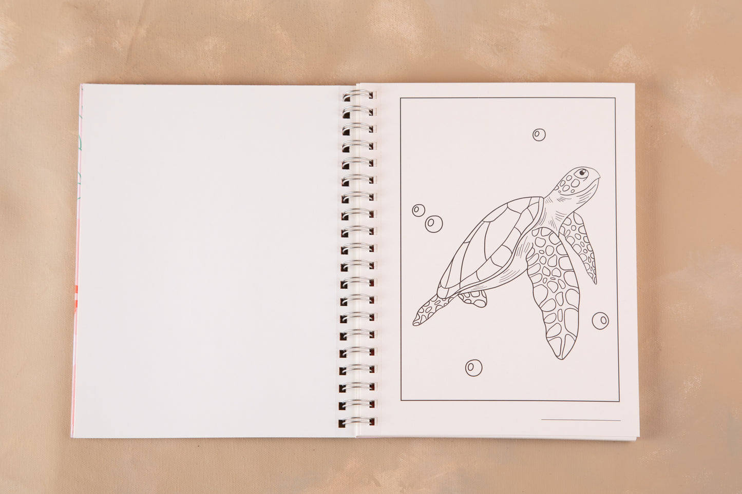 Libro Oceana