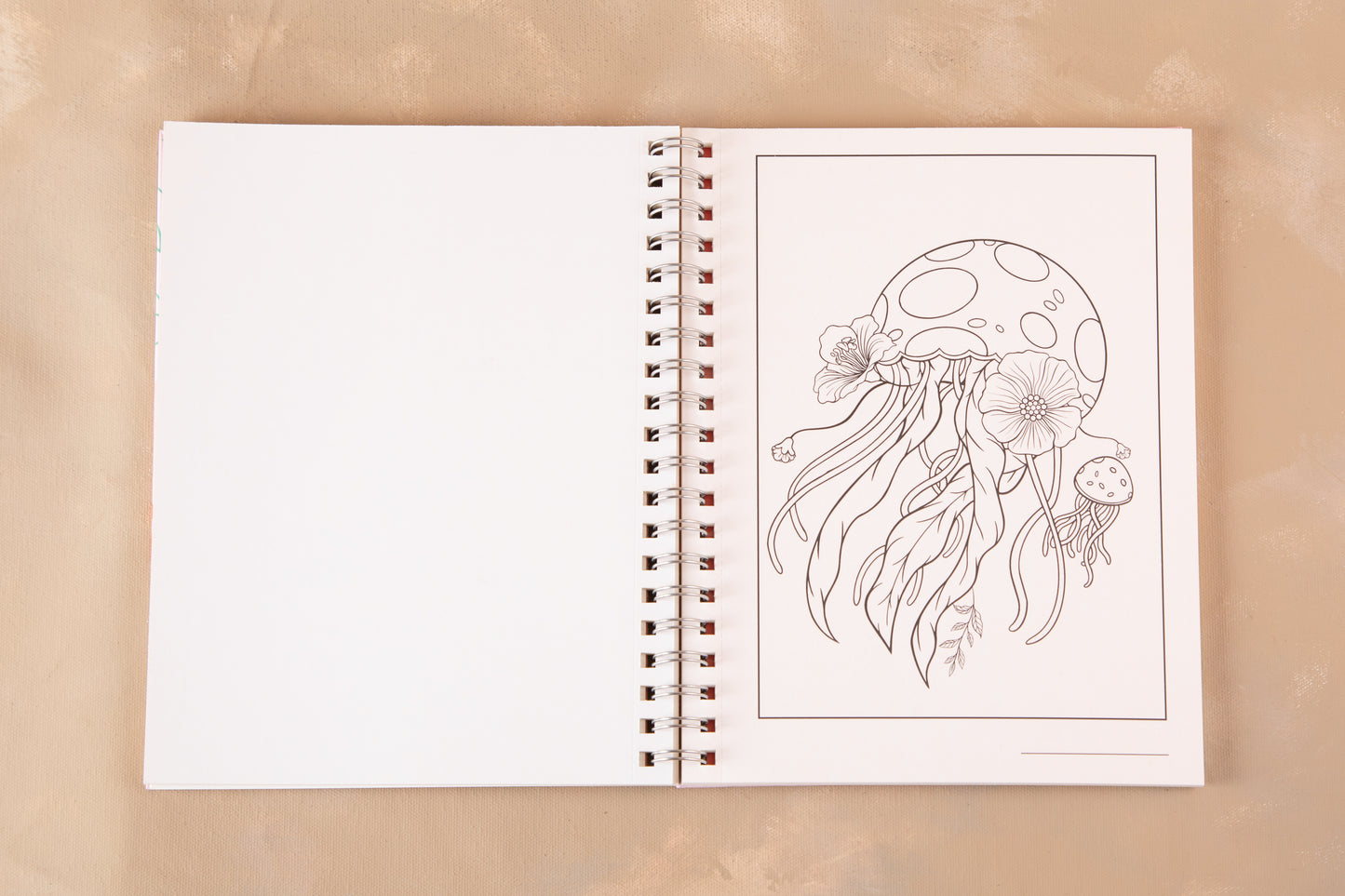 Libro Oceana