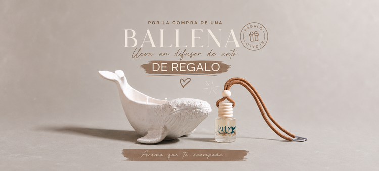 Ofertas del Mes