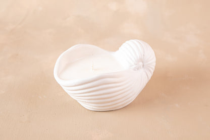 Caracola Marina Pancora II