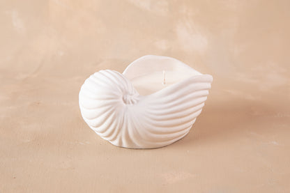 Caracola Marina Pancora II