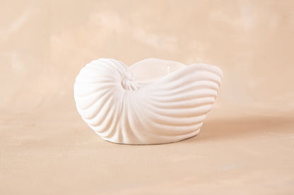 Caracola Marina Pancora II