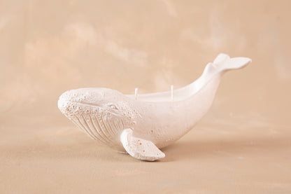 Vela Ballena