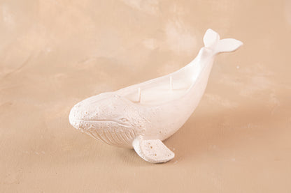 Vela Ballena