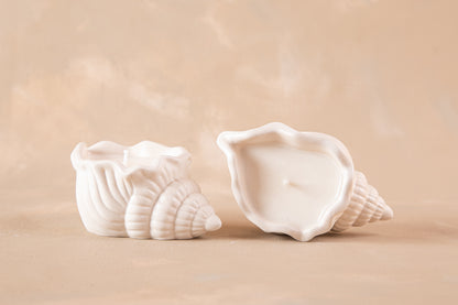 Set de 2 Caracolas