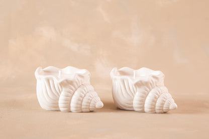 Set de 2 Caracolas