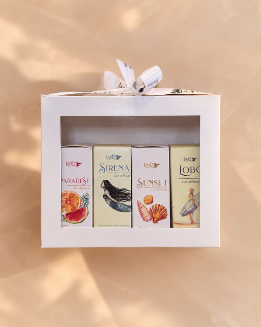 Pack 4 Aromas para Auto | Difusores de Auto LauEm
