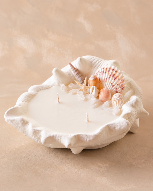 Vela de Soya Caracola Punta Blanca Grande | Decoración Costera | LauEm