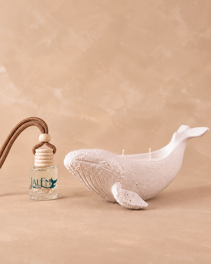 Vela de Soya Ballena Blanca + Difusor auto de REGALO