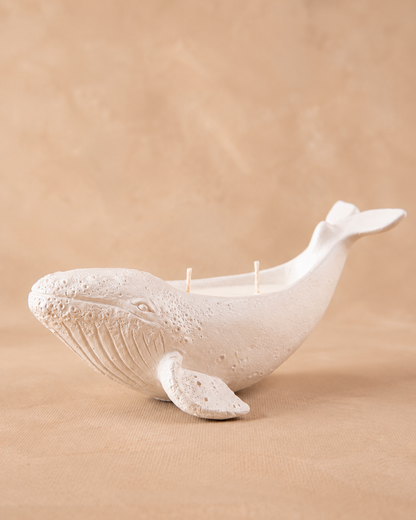 Vela de Soya Ballena Blanca + Difusor auto de REGALO
