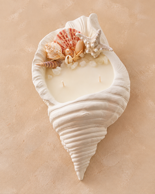 Vela Caracola Tritón de Soya Artesanal | Decoración Costera | LauEm