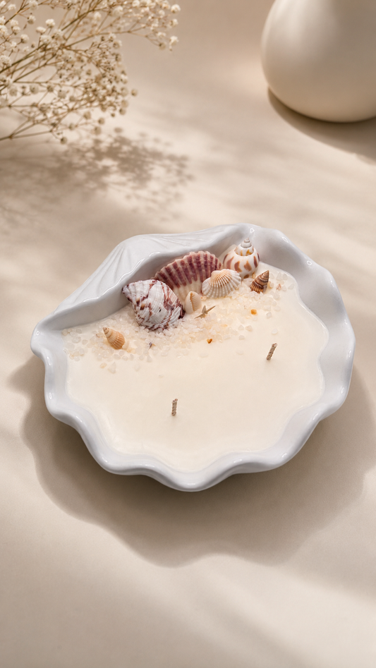 Vela Eva con cera de Soya en Caracola Decorativa, Vela Artesanal – LauEm