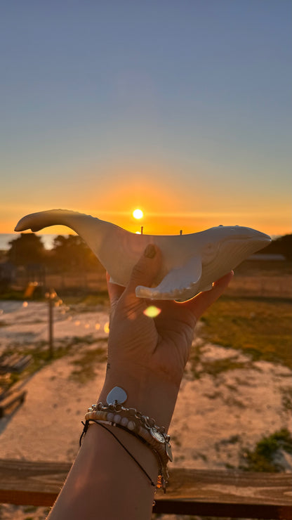 Vela Ballena Jorobada
