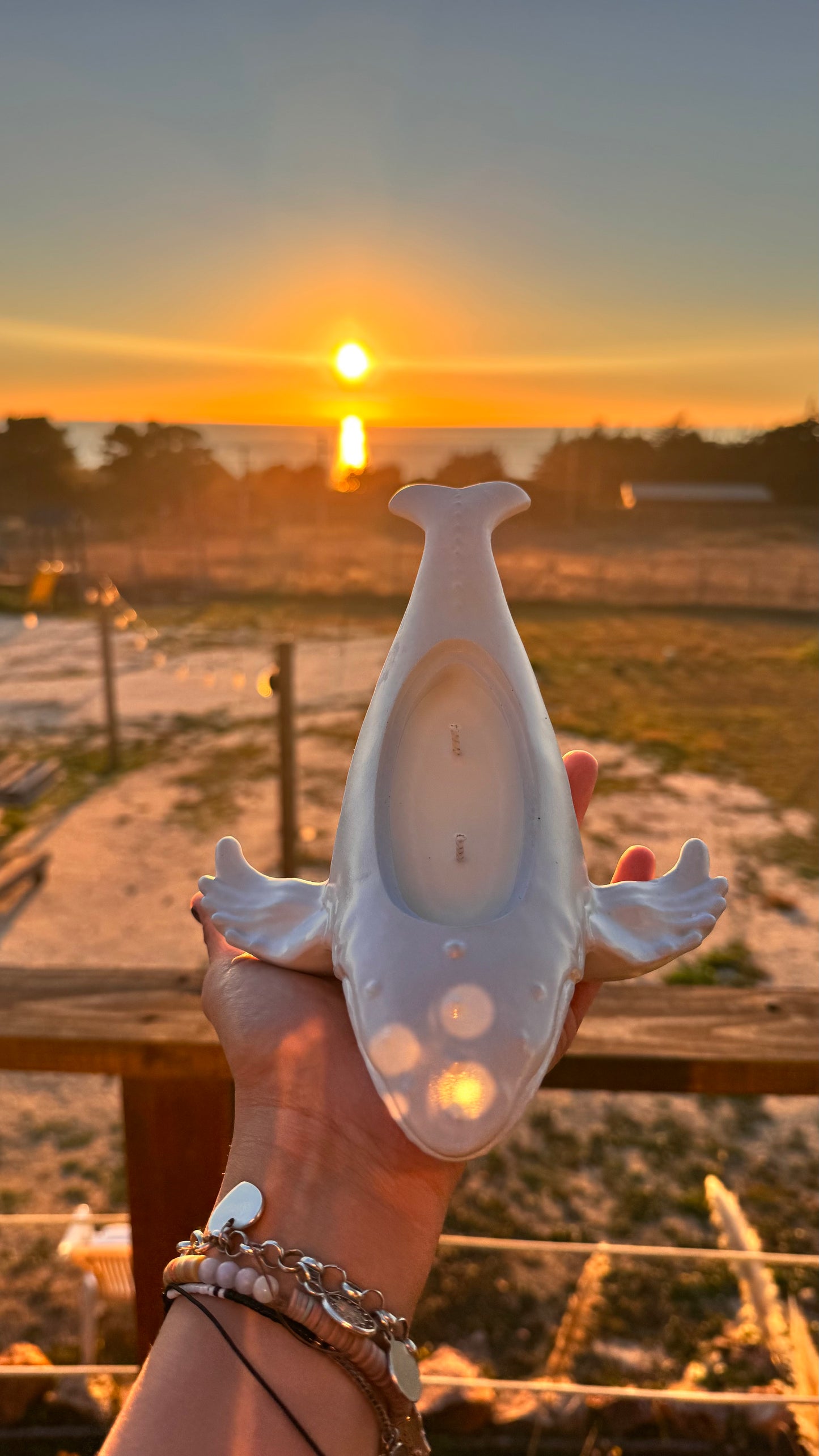 Vela Ballena Jorobada