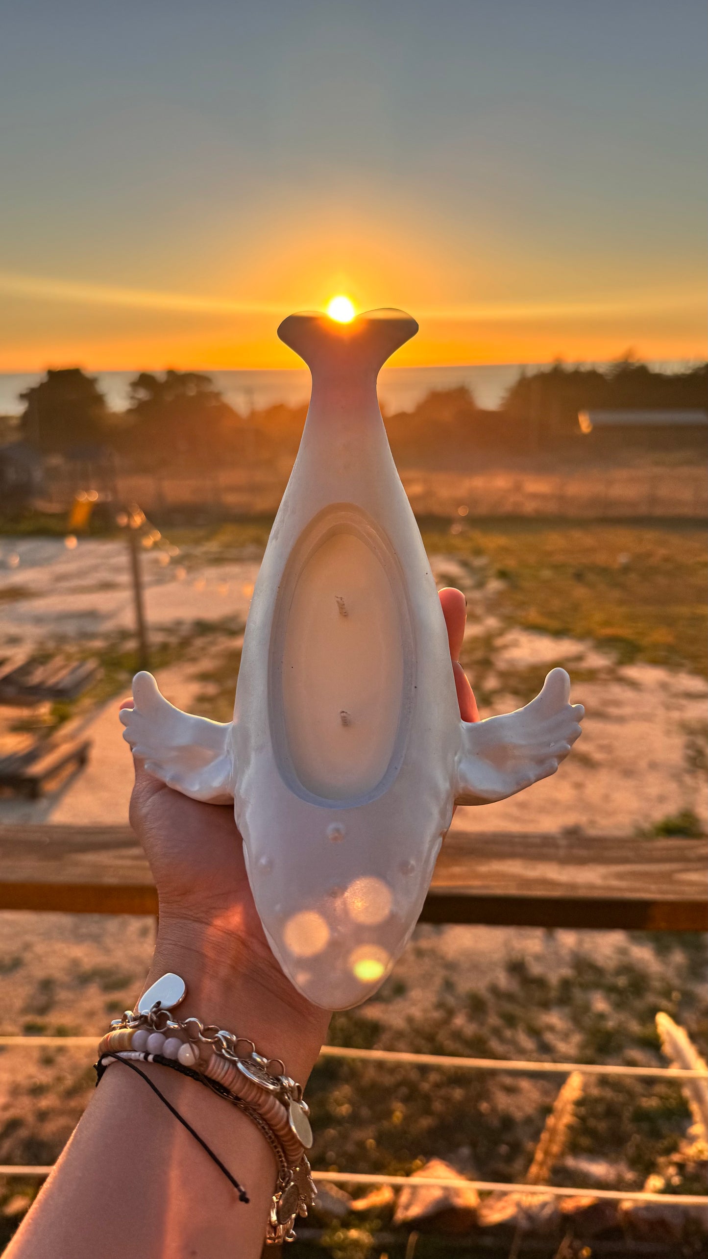 Vela Ballena Jorobada
