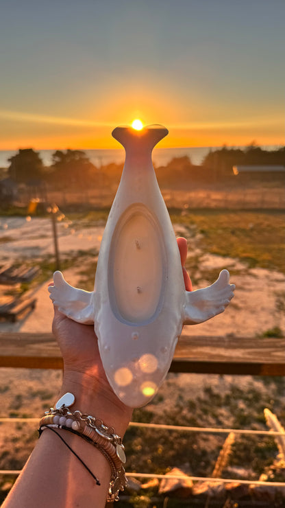 Vela Ballena Jorobada